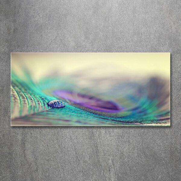 Glass acrylic wall art Drop on the feather