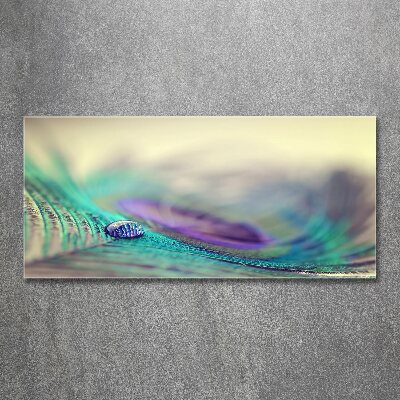 Glass acrylic wall art Drop on the feather