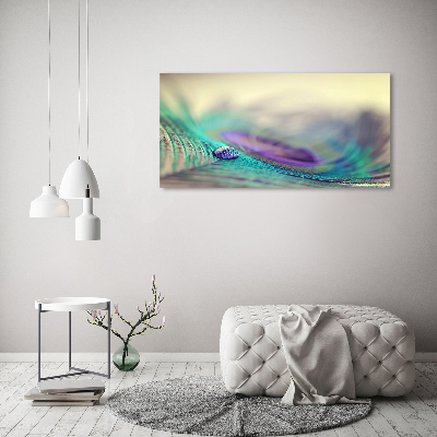 Glass acrylic wall art Drop on the feather