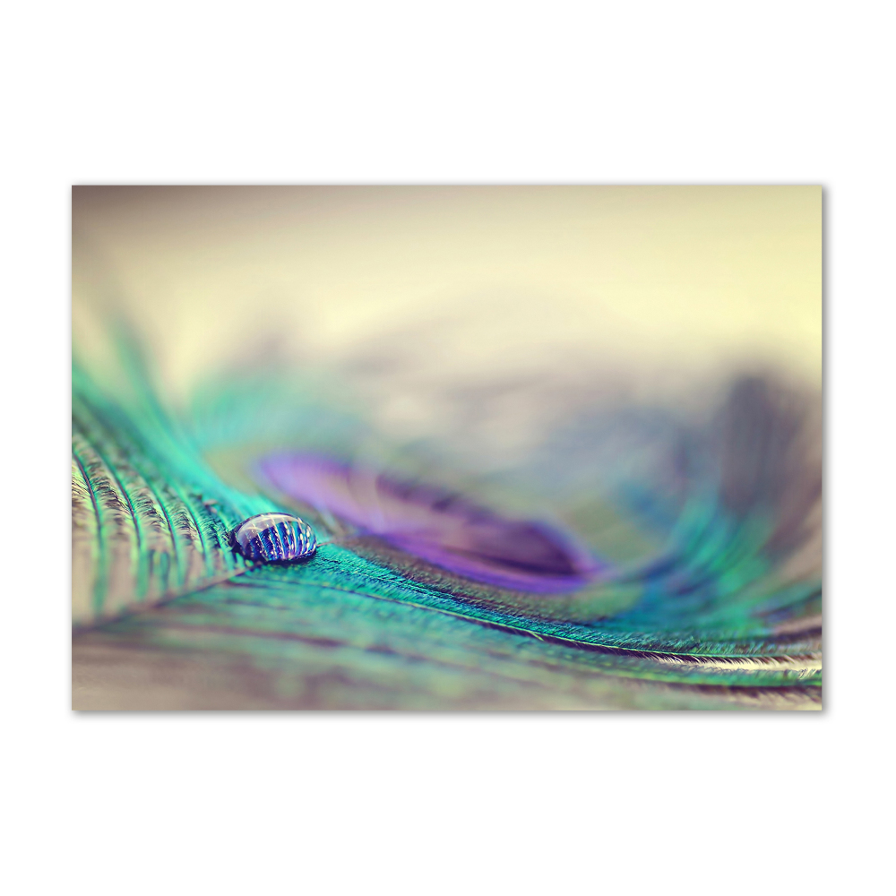 Glass acrylic wall art Drop on the feather