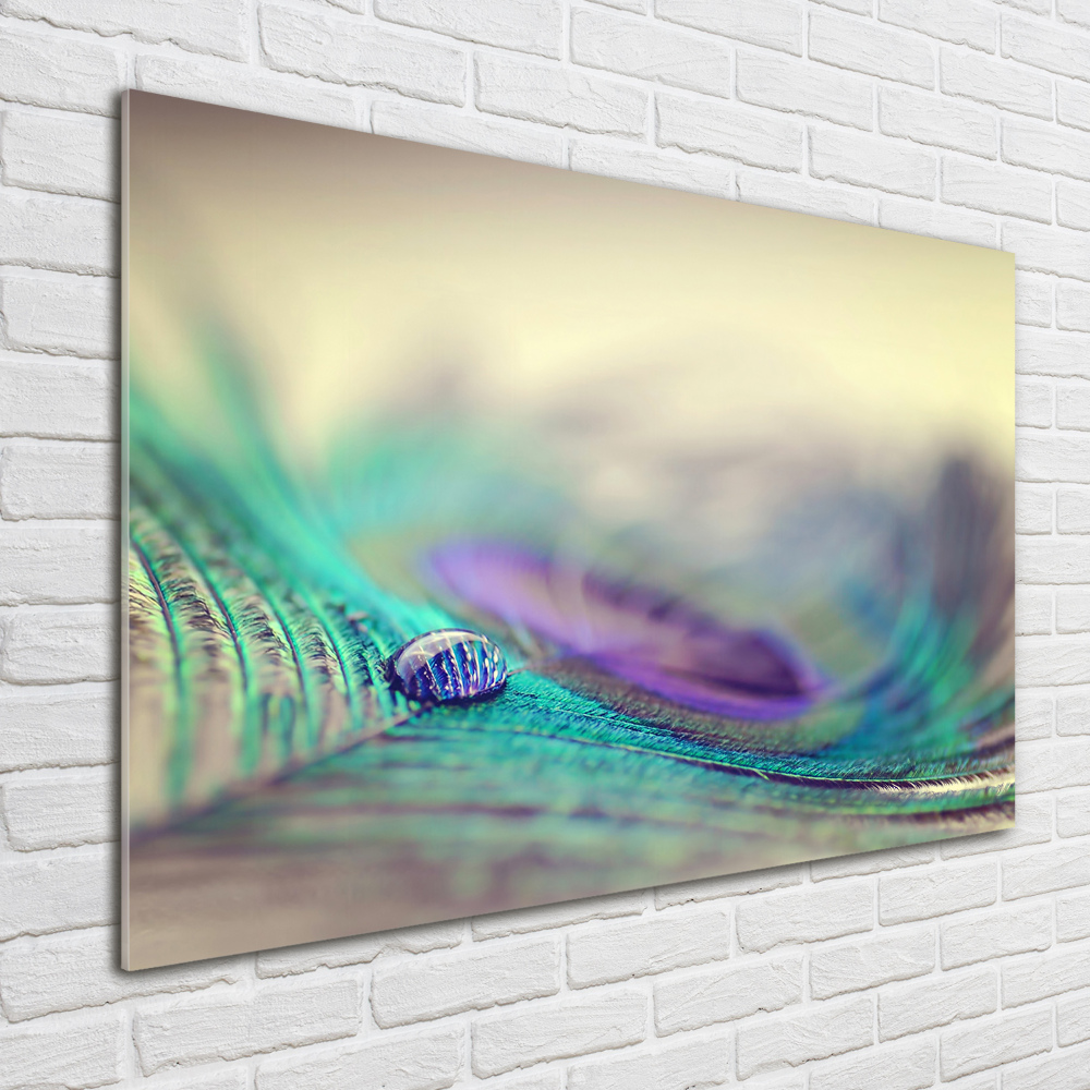 Glass acrylic wall art Drop on the feather