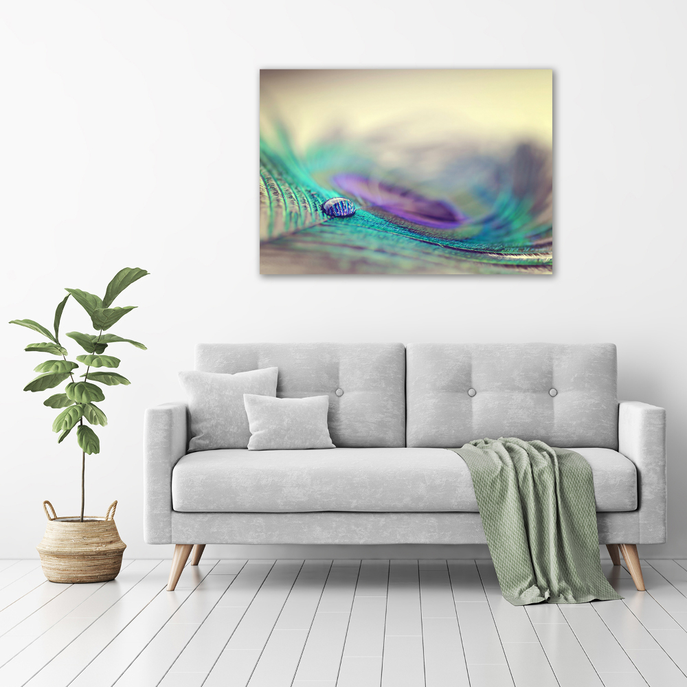 Glass acrylic wall art Drop on the feather