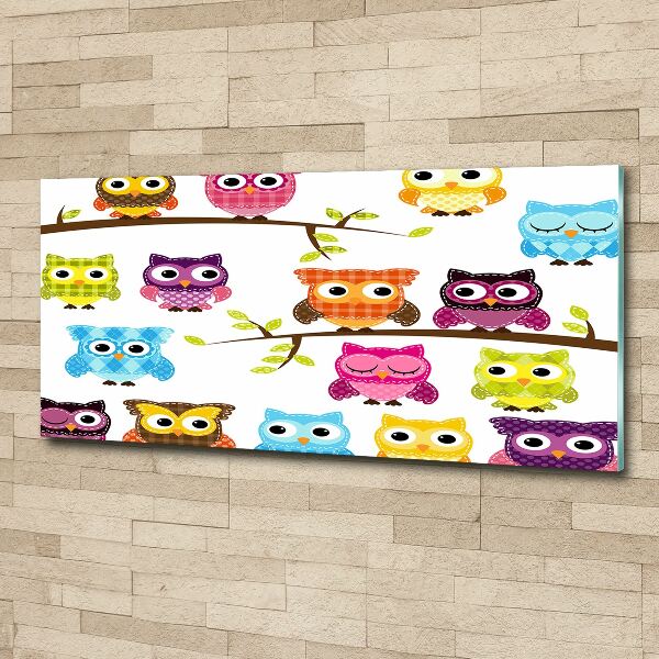 Print on acrylic Colorful owls