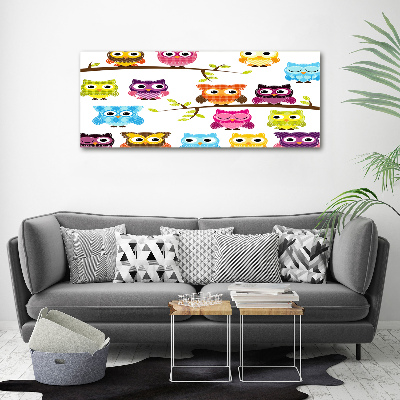 Print on acrylic Colorful owls