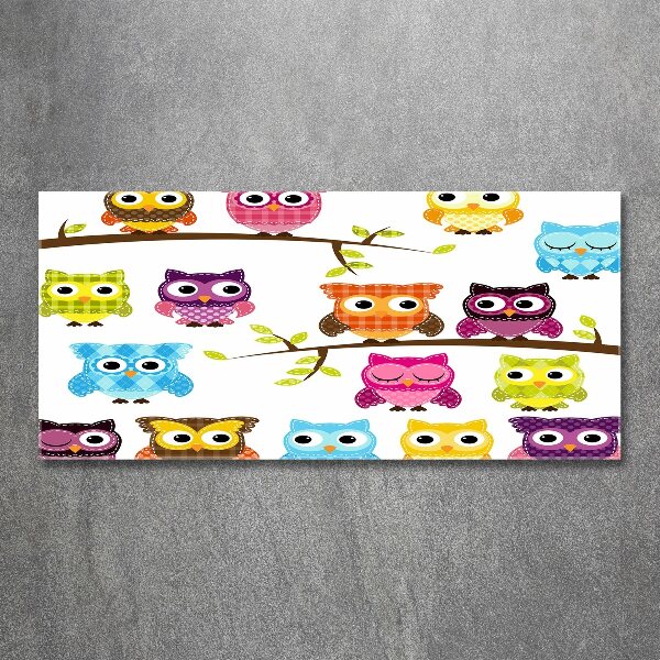 Print on acrylic Colorful owls