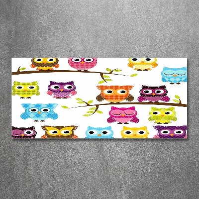 Print on acrylic Colorful owls