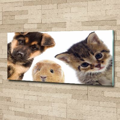 Wall art acrylic Pets