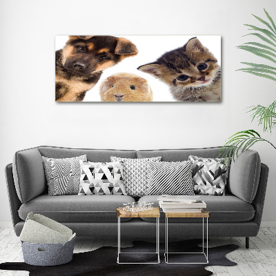 Wall art acrylic Pets