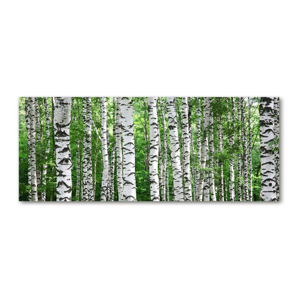 Acrylic wall picture Birch