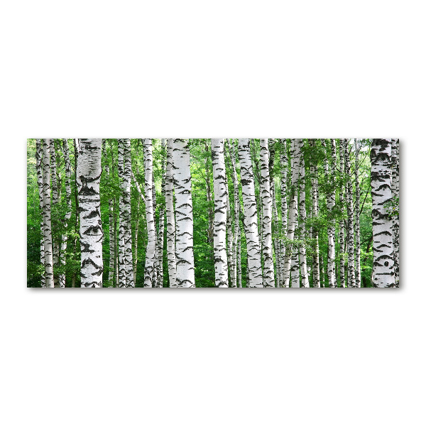 Acrylic wall picture Birch