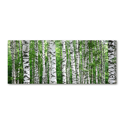 Acrylic wall picture Birch