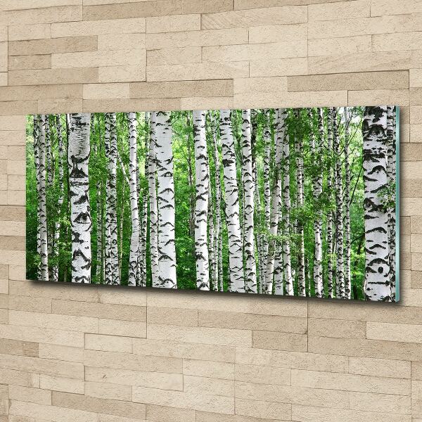 Acrylic wall picture Birch