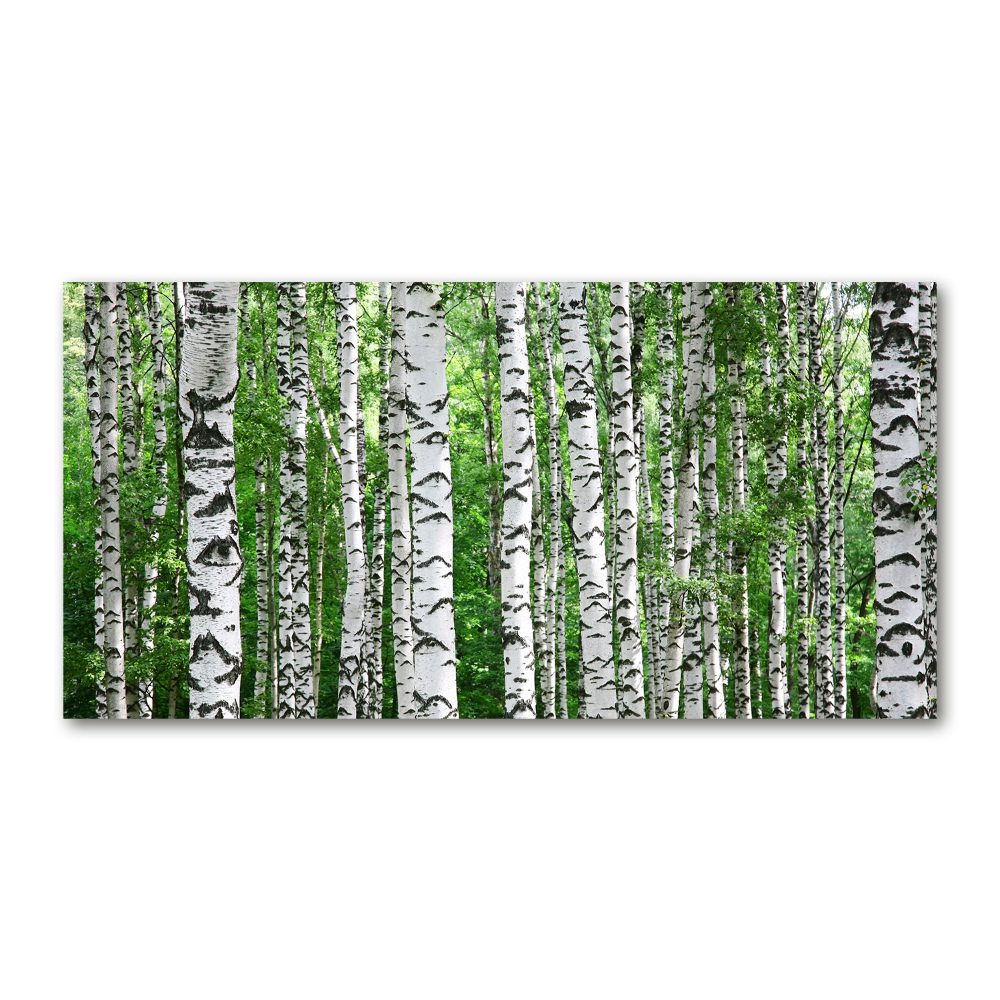 Acrylic wall picture Birch