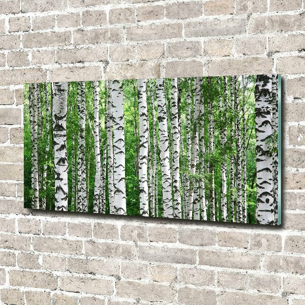 Acrylic wall picture Birch