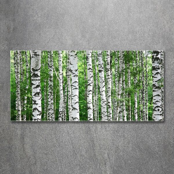 Acrylic wall picture Birch