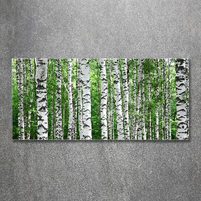 Acrylic wall picture Birch