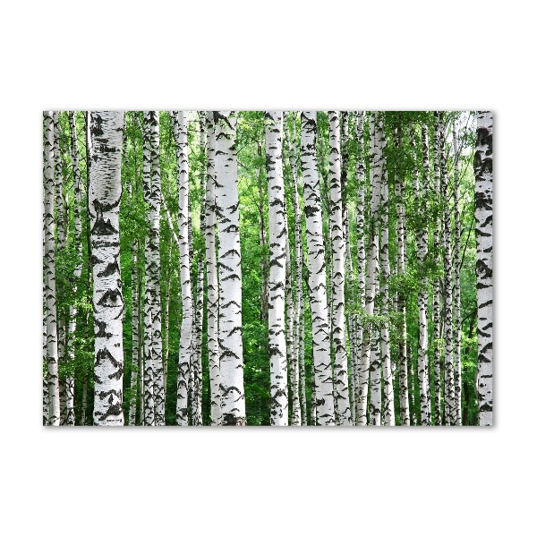 Acrylic wall picture Birch