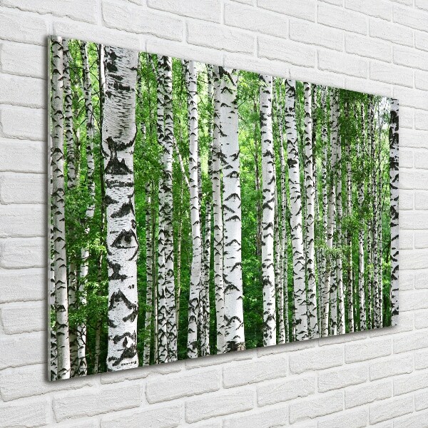 Acrylic wall picture Birch