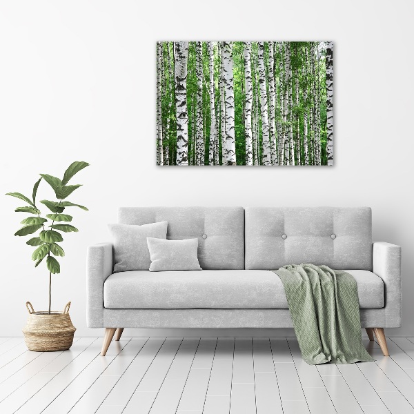 Acrylic wall picture Birch