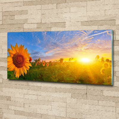 Wall art acrylic Sunflower field