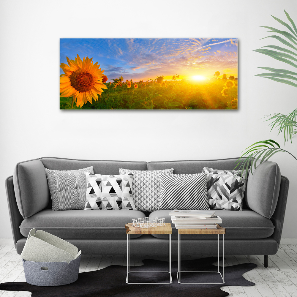 Wall art acrylic Sunflower field