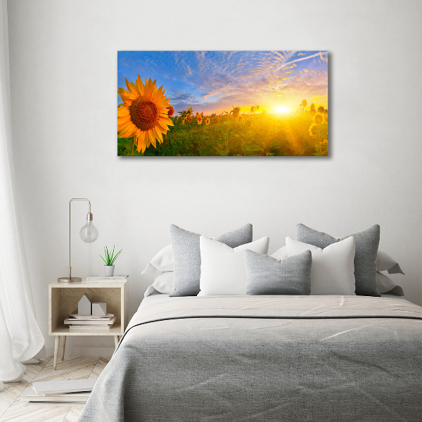 Wall art acrylic Sunflower field