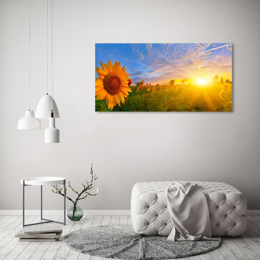 Wall art acrylic Sunflower field