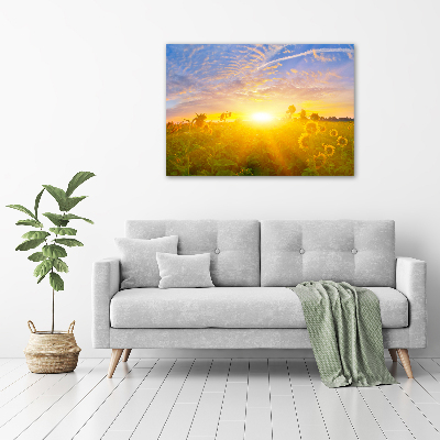 Wall art acrylic Sunflower field