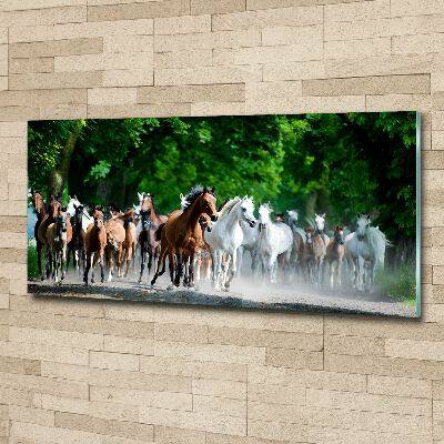 Acrylic wall art Horses at gallop