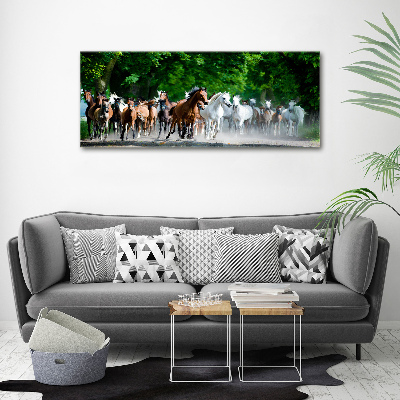 Acrylic wall art Horses at gallop