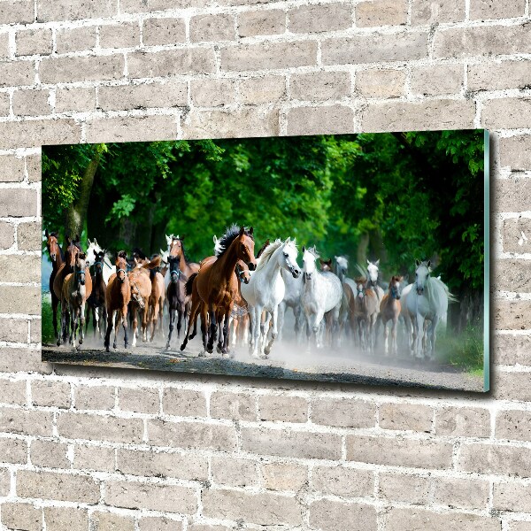 Acrylic wall art Horses at gallop