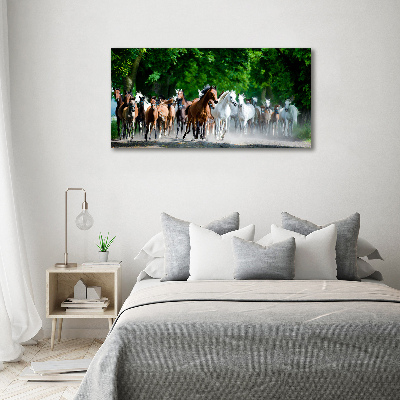 Acrylic wall art Horses at gallop