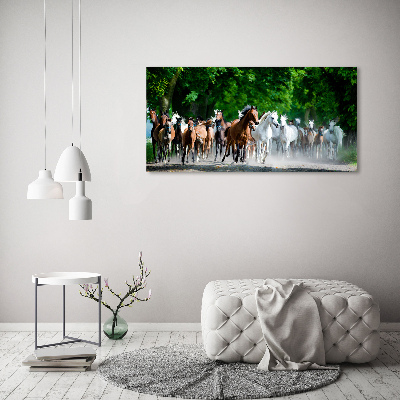 Acrylic wall art Horses at gallop