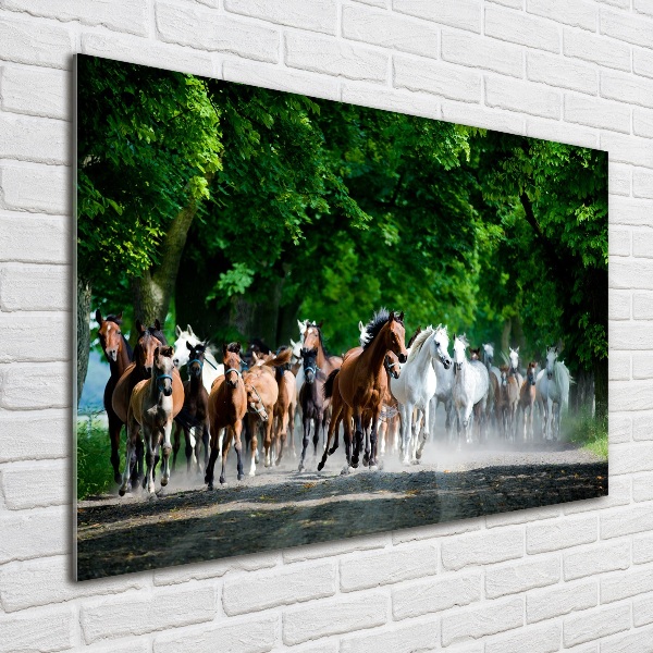 Acrylic wall art Horses at gallop