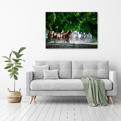 Acrylic wall art Horses at gallop