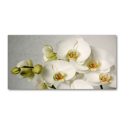 Acrylic wall picture White orchid