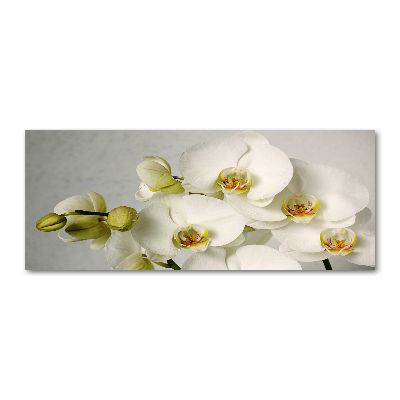 Acrylic wall picture White orchid