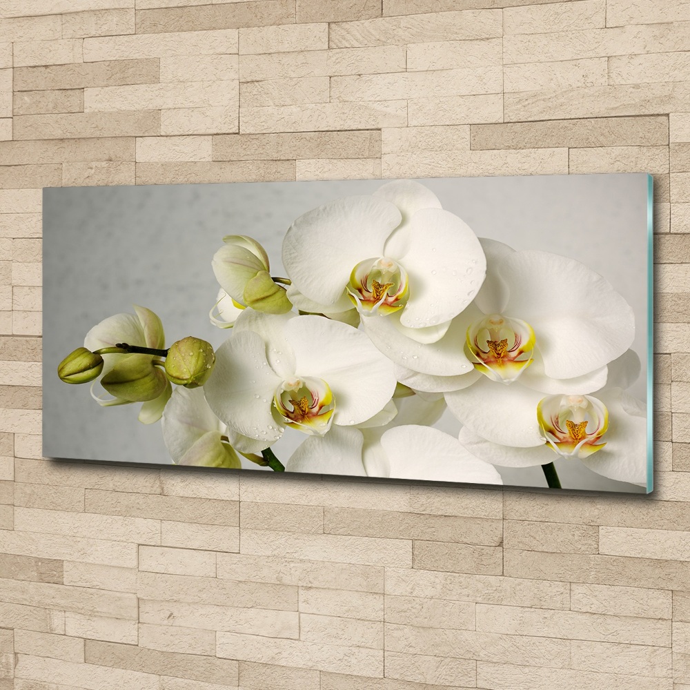 Acrylic wall picture White orchid