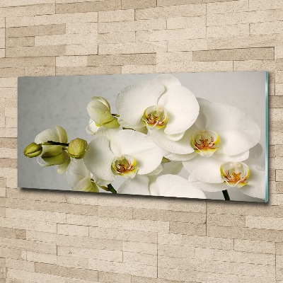 Acrylic wall picture White orchid