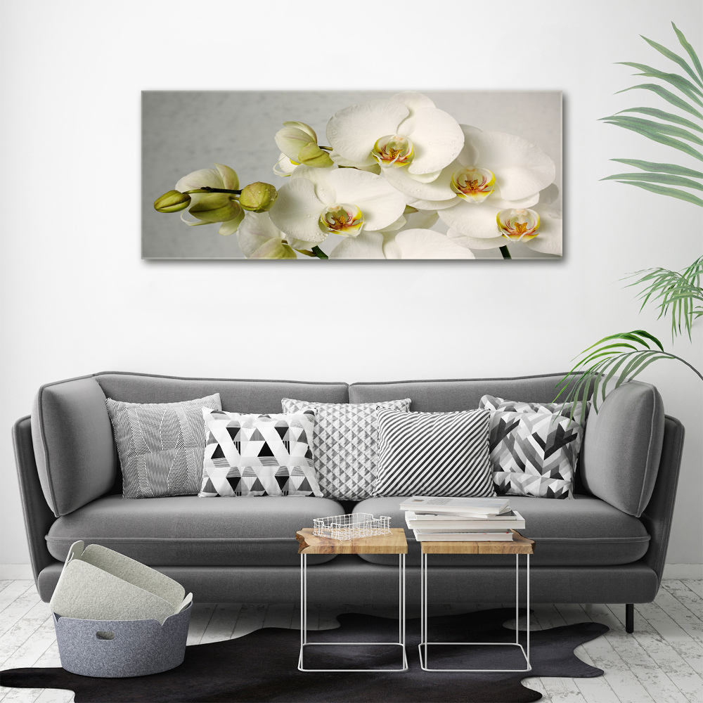 Acrylic wall picture White orchid