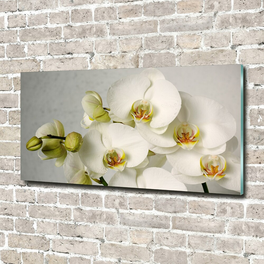 Acrylic wall picture White orchid