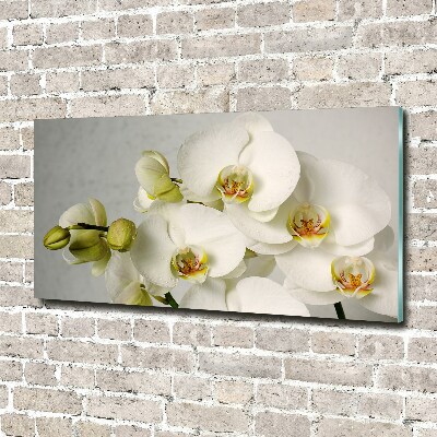 Acrylic wall picture White orchid