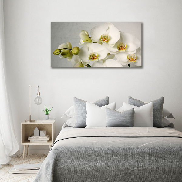 Acrylic wall picture White orchid