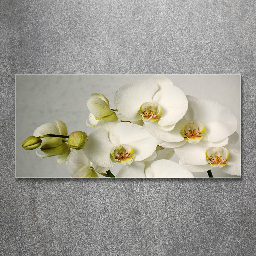 Acrylic wall picture White orchid