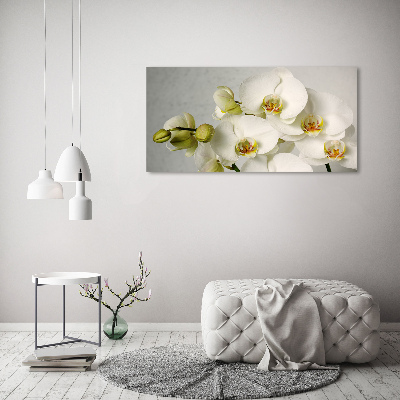 Acrylic wall picture White orchid