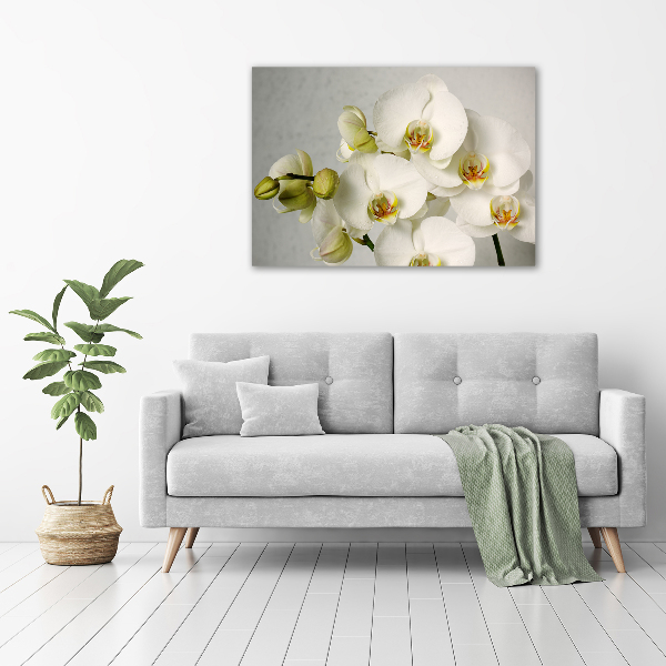 Acrylic wall picture White orchid