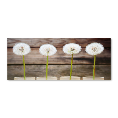 Print on acrylic dandelions