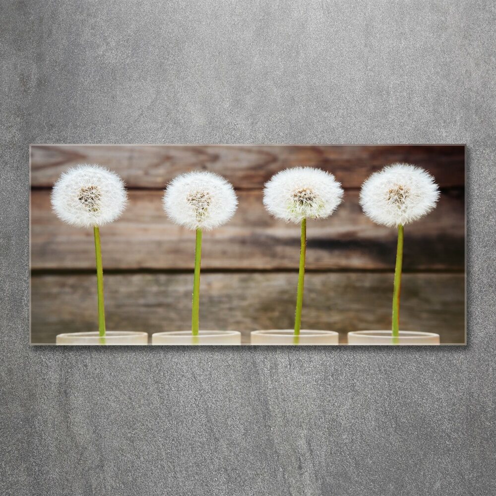 Print on acrylic dandelions