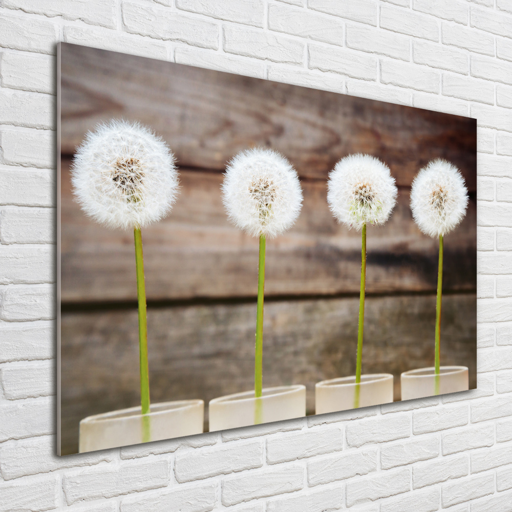 Print on acrylic dandelions