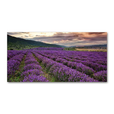 Print on acrylic Lavender field